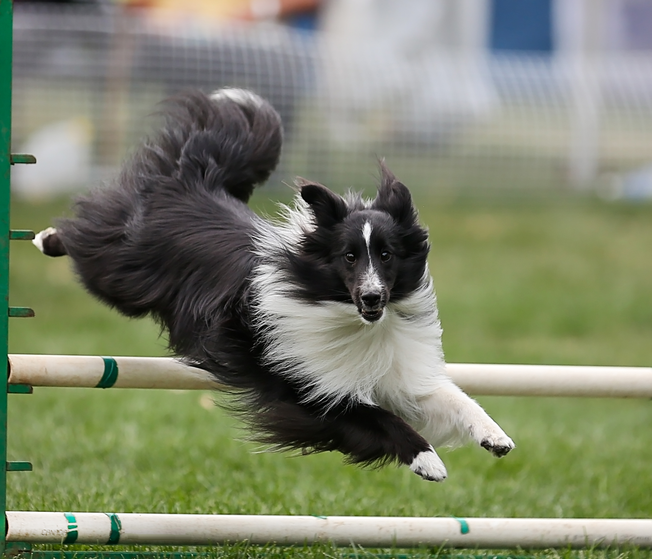 Agility