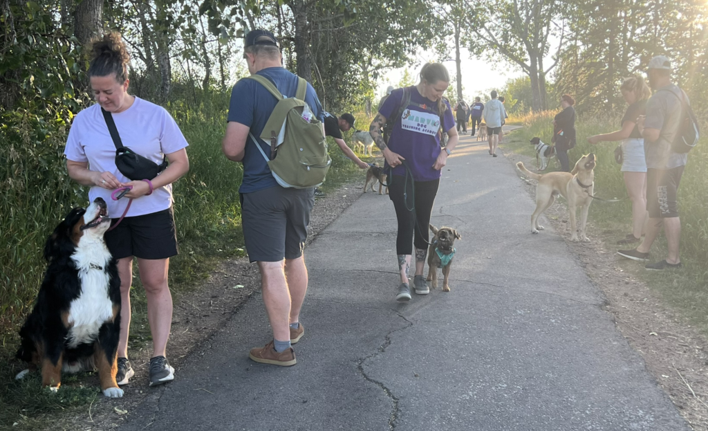 Outdoor Dog Training