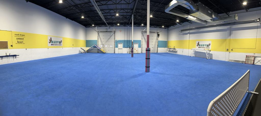 Marvel Dog Training Agility Floor