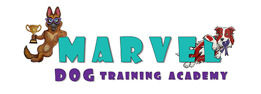 Marvel Dog Training Academy